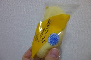 P1040278-s